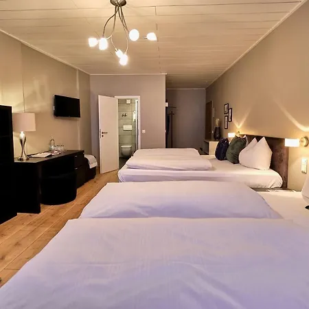 Otel Roter Hahn Regensburg