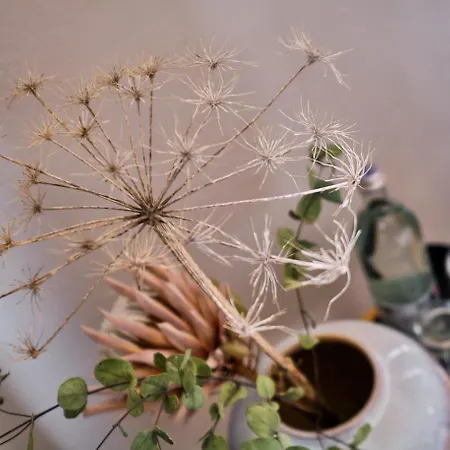 Roter Hahn ホテル 3*