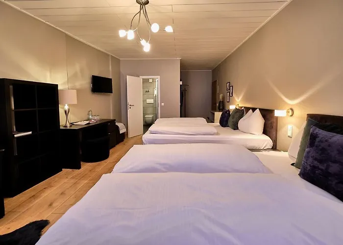 호텔 로터 한 레겐스부르크