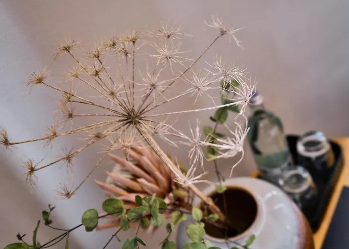 로터 한 호텔 3*